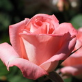 IMG_7605.JPG