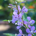 IMG_7613.JPG