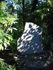 IMG_7684.JPG