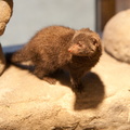 100228_Zoo_214.jpg