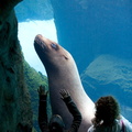 100228_Zoo_297.jpg
