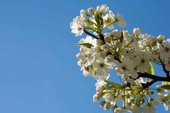 100306_Walk_043.jpg