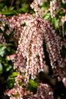 100306_Walk_136.jpg