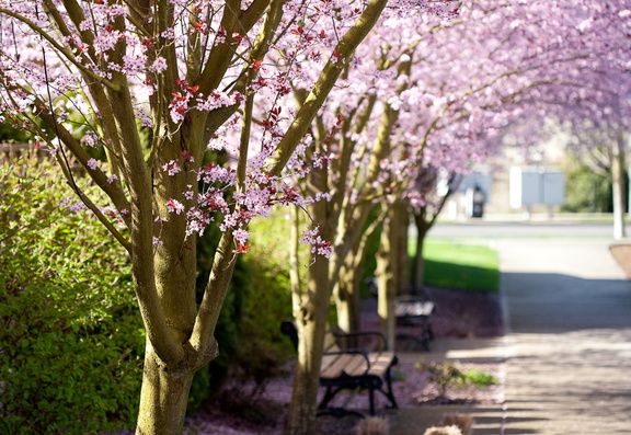 Beautiful Spring Day.