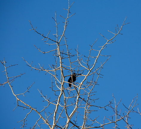 100306_walk_015.jpg