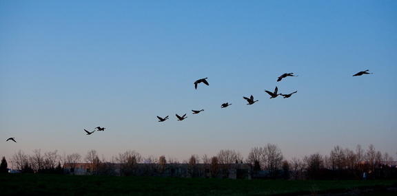 100306_walk_116.jpg