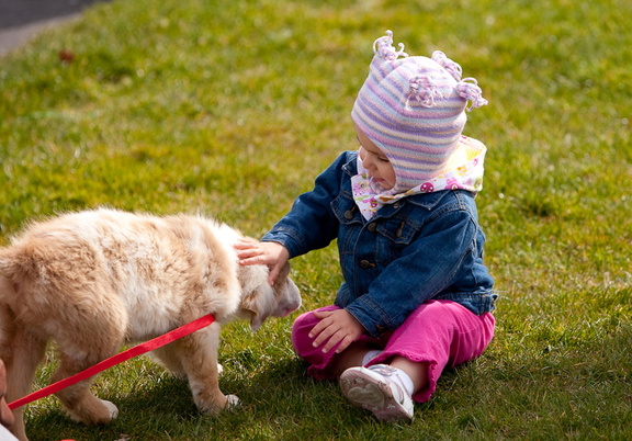 And fun to pet.