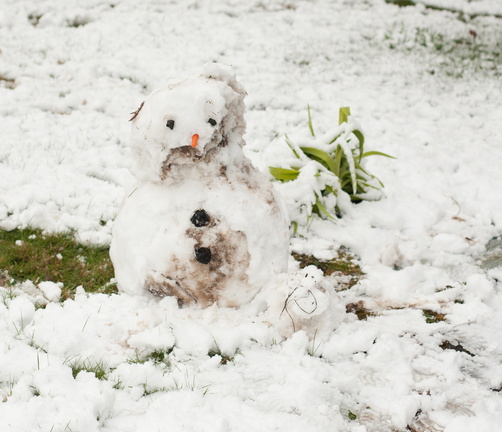 120322 Snow 128