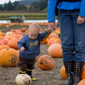 121021 PumpkinPatch 114