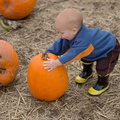 121021 PumpkinPatch 175