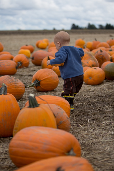 121021_PumpkinPatch_180.jpg