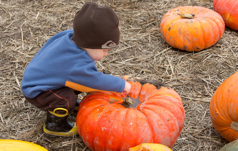 121021_PumpkinPatch_342.jpg