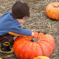 121021 PumpkinPatch 342