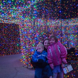 141216 ZooLights