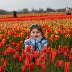 180414_TulipFields