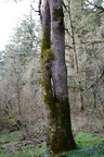 210306 Walk 074