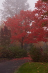 211016 Walk 012