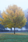 211016 Walk 038