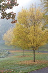 211016 Walk 148