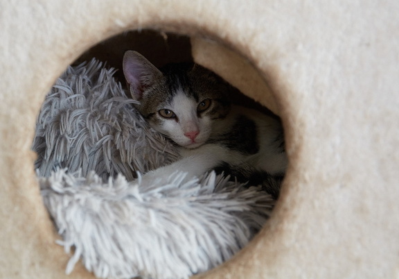 250709 CookIslands 0075