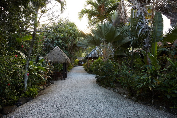 250712 CookIslands 0204