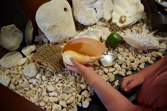 250712 CookIslands 0219