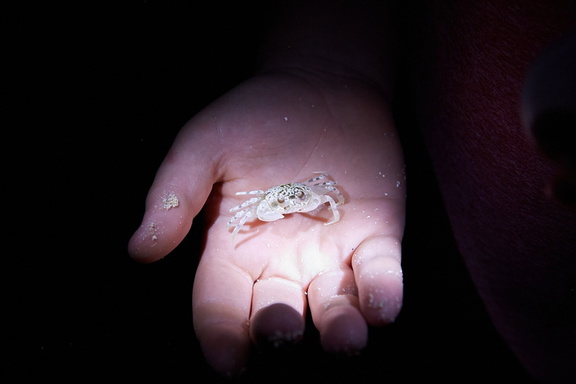 250713 CookIslands 0398