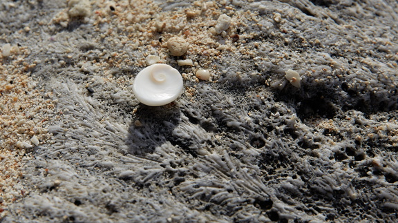 250706 CookIslands 0031