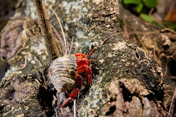 250706 CookIslands 0055