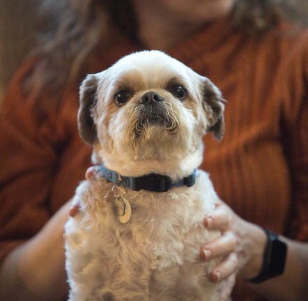 251127 Thanksgiving 0107