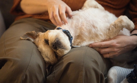 251127 Thanksgiving 0151