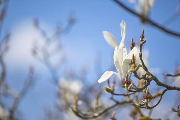260314 Walk 0013