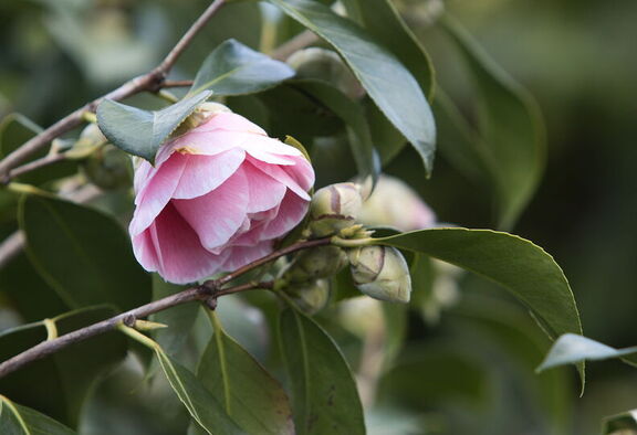 260314 Walk 0036