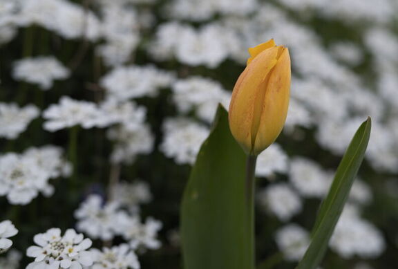 260404 Walk 0003