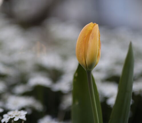 260404 Walk 0006