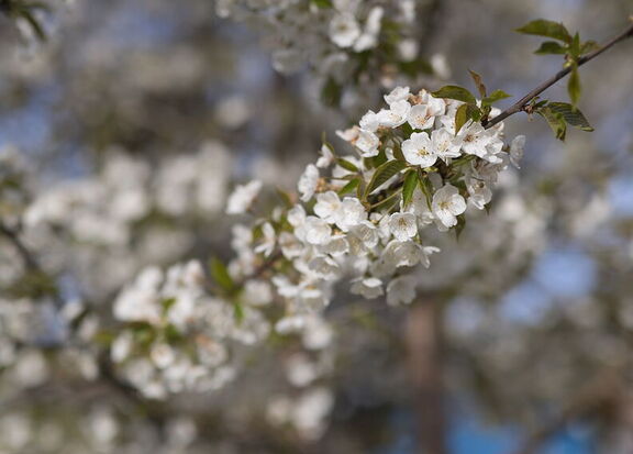 260404 Walk 0008