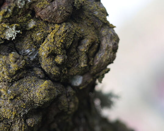 260404 Walk 0022