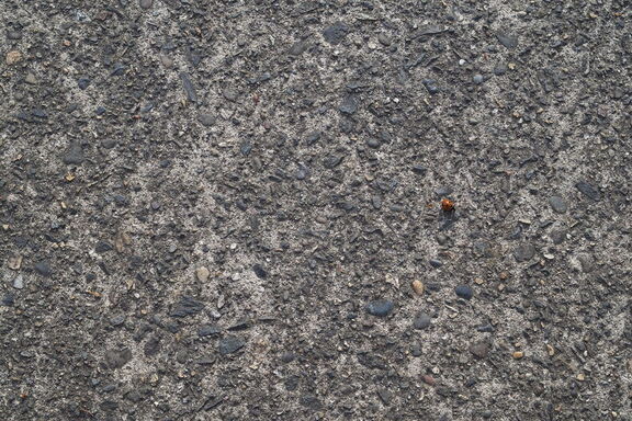 260404 Walk 0031