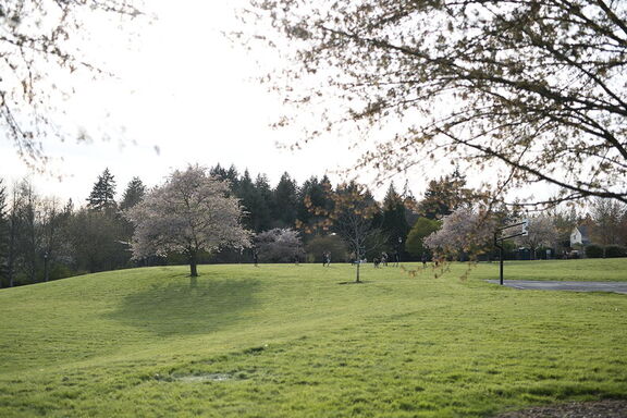 260404 Walk 0041