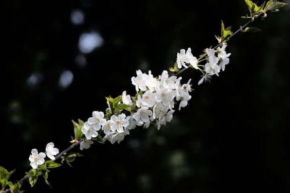 260404 Walk 0064
