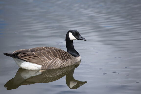 260411 Walk 0004