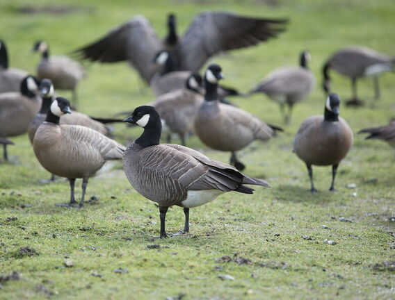 260411 Walk 0036