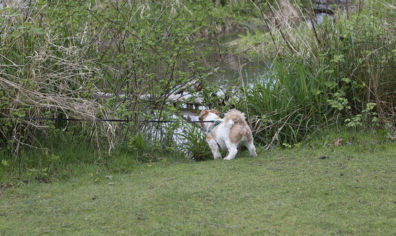 260411 Walk 0130