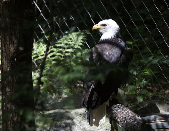 260522 Zoo 0025