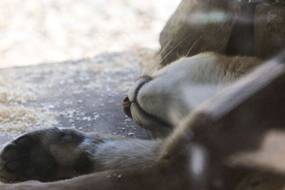 260522 Zoo 0078