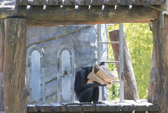 260523 Zoo 0127