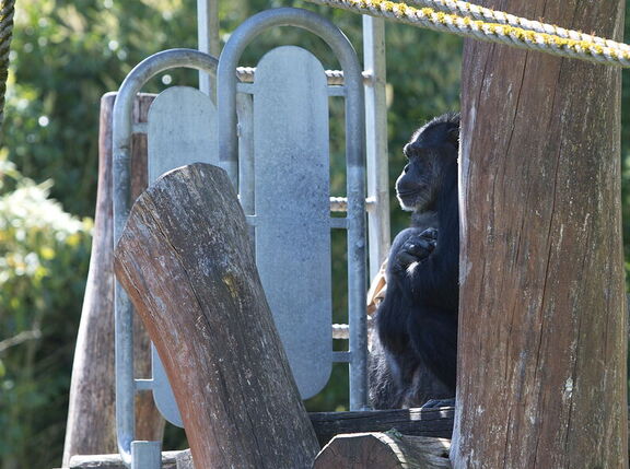 260523 Zoo 0148