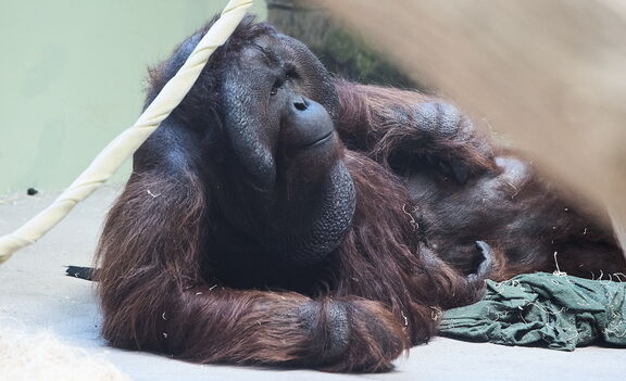 260523 Zoo 0185