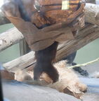 260523 Zoo 0234