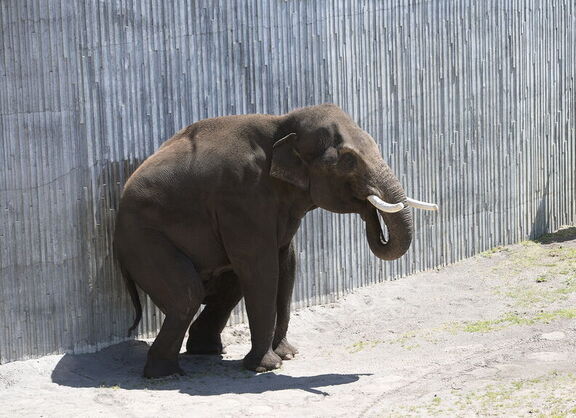 260523 Zoo 0357